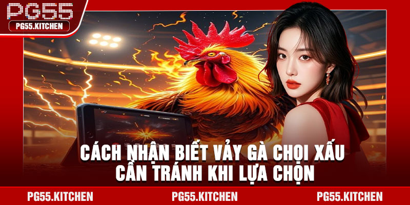 Cách nhận biết vảy gà chọi xấu cần tránh khi lựa chọn
