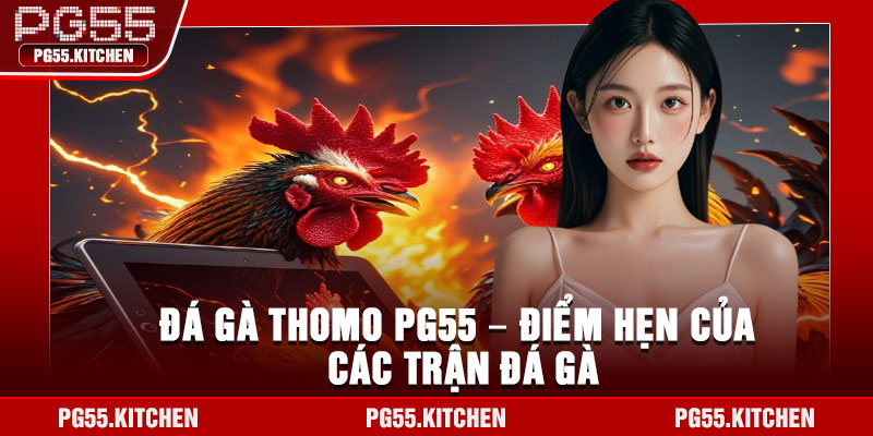 Đá gà Thomo PG55 – Điểm hẹn của các trận đá gà