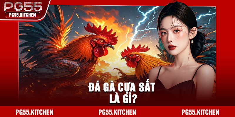 Đá gà cựa sắt là gì?