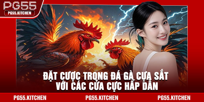 Đặt cược trong đá gà cựa sắt với các cửa cực hấp dẫn