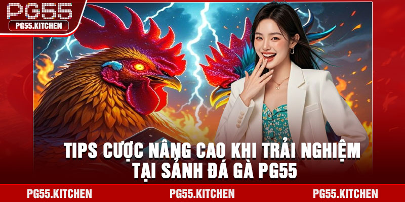 Tips cược nâng cao khi trải nghiệm tại sảnh đá gà PG55
